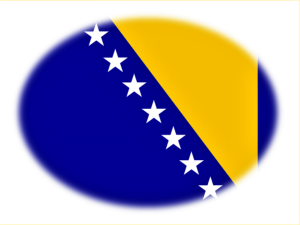 Zastava_BiH